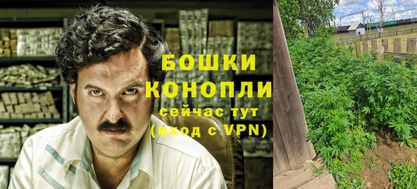 ПСИЛОЦИБИНОВЫЕ ГРИБЫ Балабаново