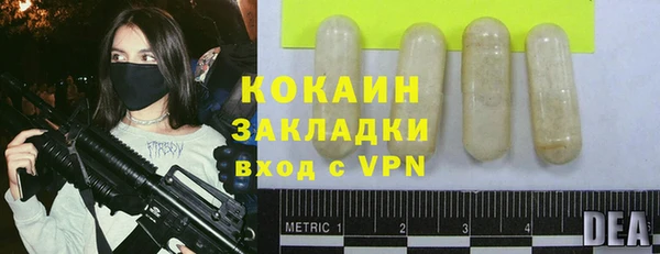 крисы Баксан