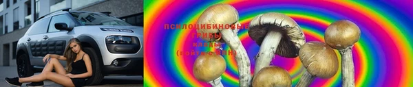 крисы Баксан