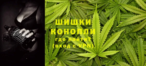 ПСИЛОЦИБИНОВЫЕ ГРИБЫ Балабаново