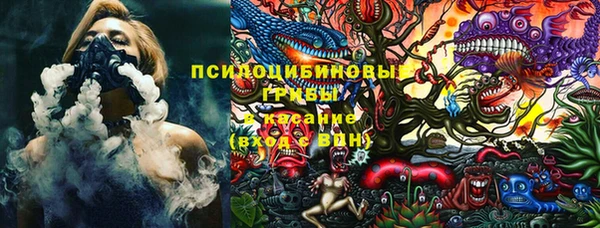 крисы Баксан